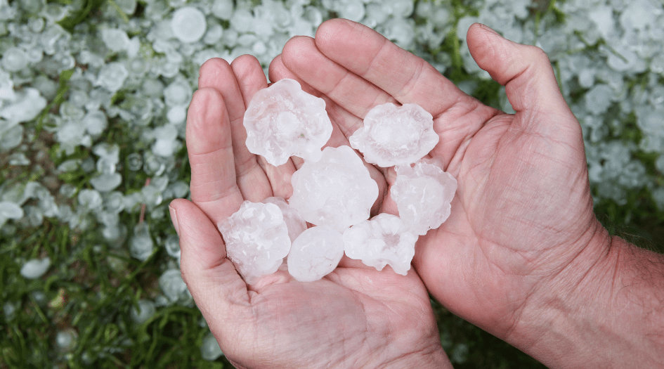 Two hands hold multiple large hail stones, showing why you need to protect your small business from hailstorm damage.