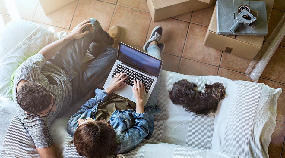 Un couple et un chien sont assis sur un sofa et regardent un ordinateur portable, réfléchissant à l’assurance des locataires.