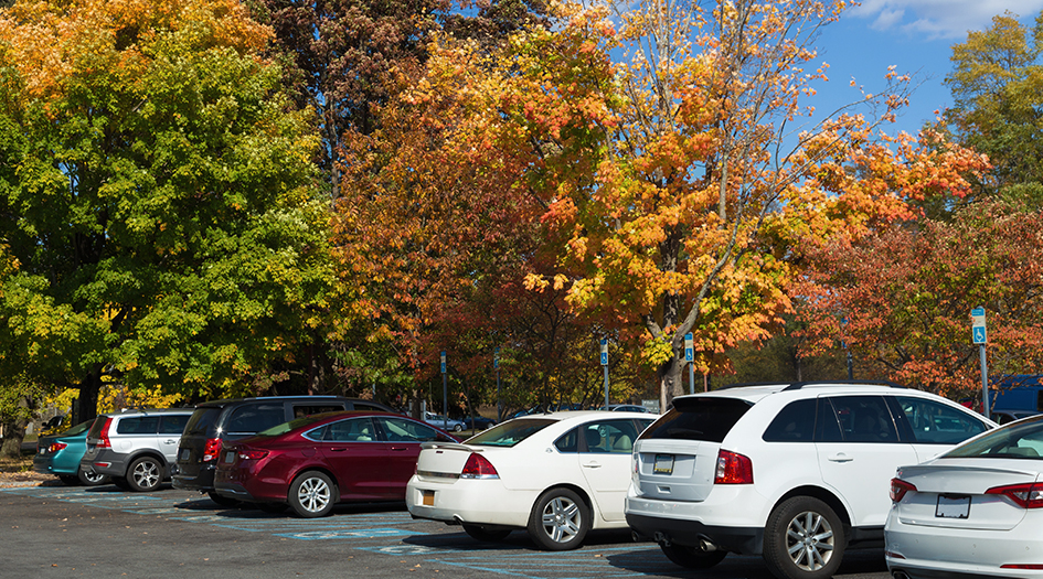 A row of cars are parked outdoors, showing Canada's most stolen vehicles of 2020