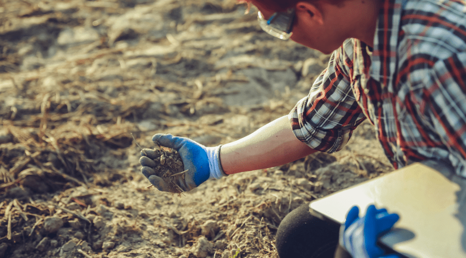 A farmer checks the soil in their field, showing one way Canadian farmers can winterize their operations.