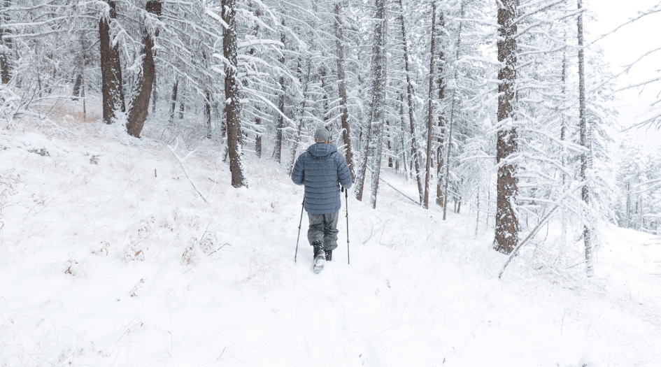 Un homme avec des bâtons de marche se promène dans une forêt enneigée, illustrant des essentiels de la randonnée hivernale.