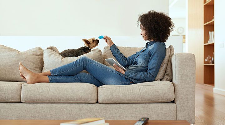 Une femme lit un article sur sa tablette à propos des quatre questions les plus importantes sur l’assurance pour les animaux de compagnie, tout en jouant avec son chien.