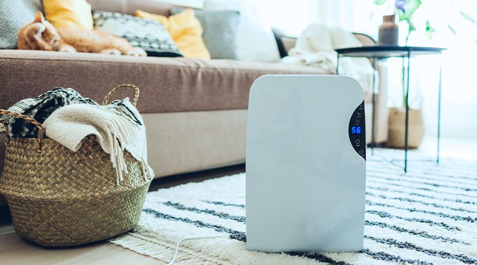 Here's whether home insurance covers mould, as shown by a dehumidifier in a living room