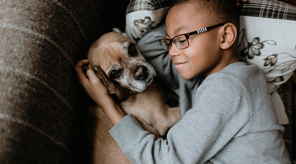 Un garçon donne un câlin à son chien sur le sofa, illustrant comment rendre votre maison sécuritaire pour votre animal.