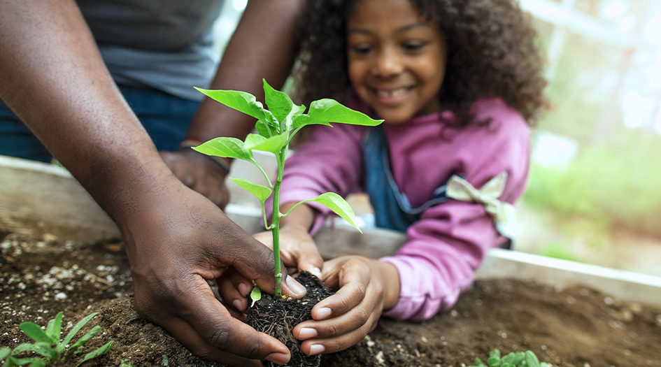 Voici sept conseils de jardinage pour débutants, illustrés par une petite fille et un homme plantant une petite plante.