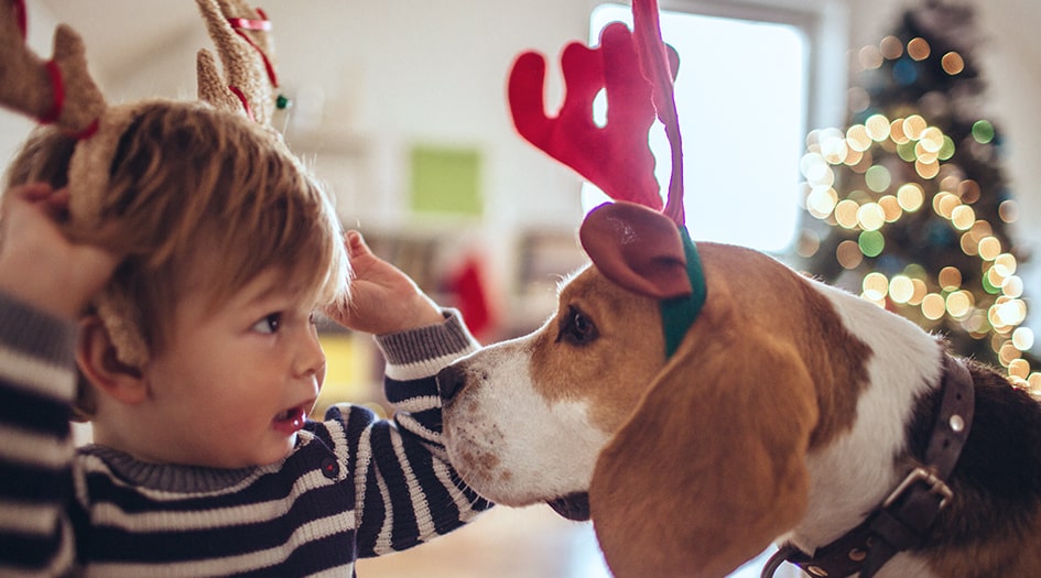 Un bambin et un beagle portant un bandeau de rennes, illustrant comment assurer le bien-être des animaux pendant les fêtes.