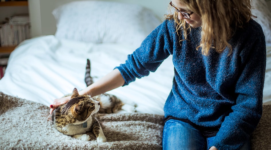 A woman sits and pets her car on a bed, showing how you can keep your pet safe during an emergency at home