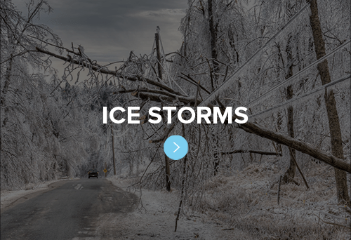 Ice Storm