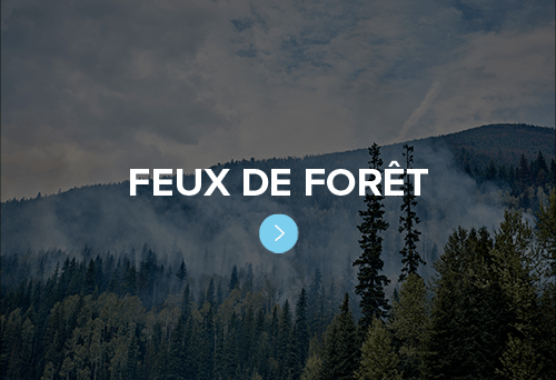 feux de forêt