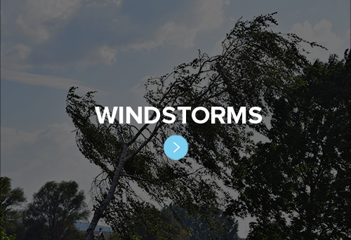 Windstorm