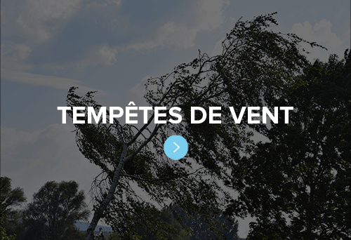 tempêtes de vent