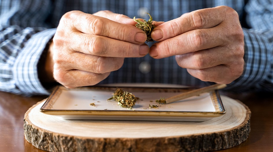 A man holds marijuana flowers, showing how using and growing cannabis could affect your insurance