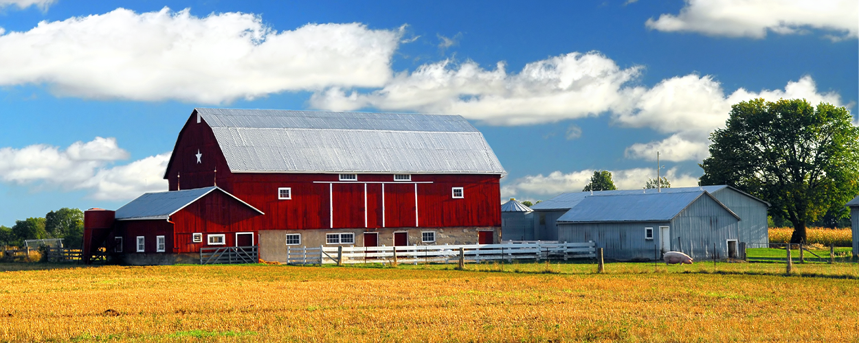 A large barn on the horizon