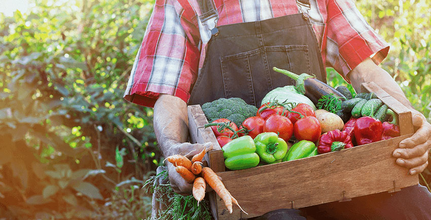 Man with fruit and veggies