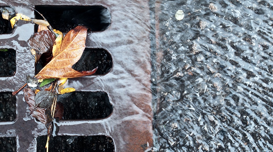 De l’eau s’engouffre dans une bouche d’égout emportant des feuilles, illustrant en quoi un clapet antiretour est essentiel.