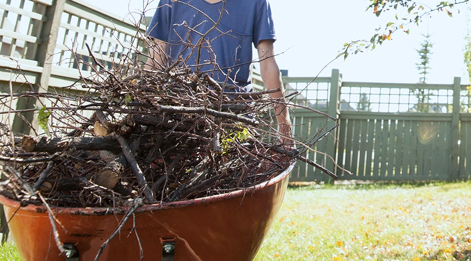 Un homme pousse une brouette rouge remplie de brindilles et nettoie sa cour arrière et son jardin pour le printemps.