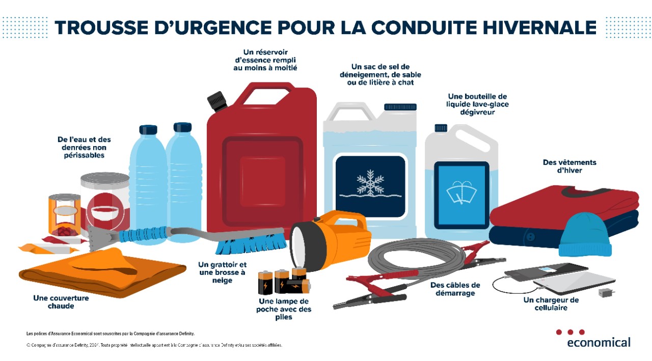 Infographie décrite ci-dessous