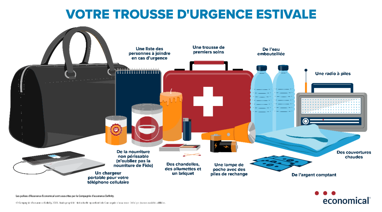 Infographie décrite ci-dessous